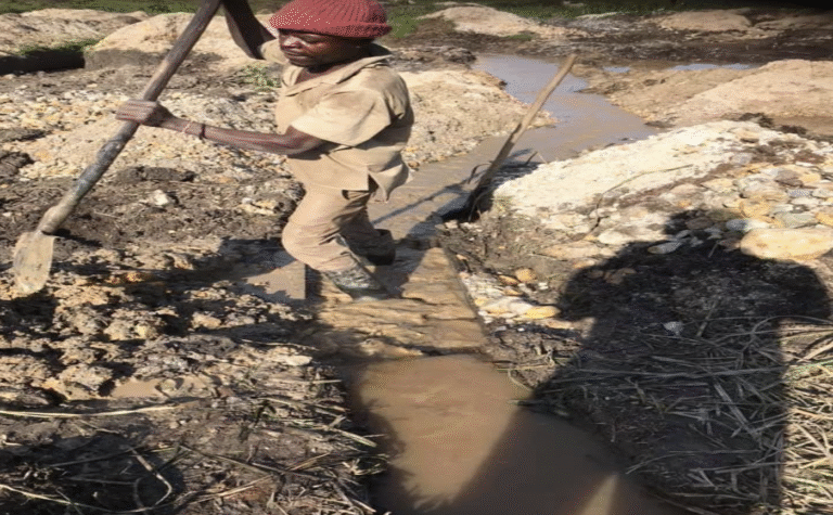 Lire la suite à propos de l’article Sud-Kivu : quand l’or attise les rivalités ethniques — Enquête sur l’héritage explosif de TransAfrika DRC