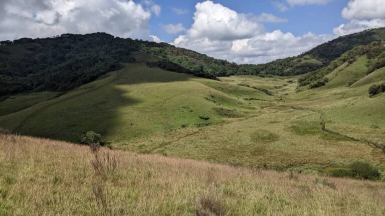 Lire la suite à propos de l’article Qui sont les Gumino ? Enracinement social chez les Banyamulenge, marginalisation et Utetezi.